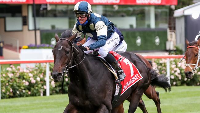 Sir Dragonet will push on to the Melbourne Cup after winning the Cox Plate. Picture: Getty Images