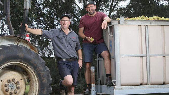 Hither &amp; Yon’s Richard and Malcolm Leask at their McLaren Vale vineyard. Picture: Emma Brasier