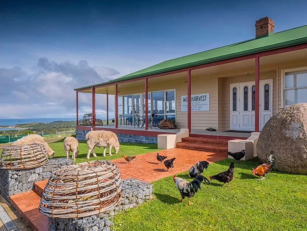 TripAdvisor has named Tasmania’s Wild Harvest as the best fine dining restaurant in Australia for 2022. Picture: Wild Harvest