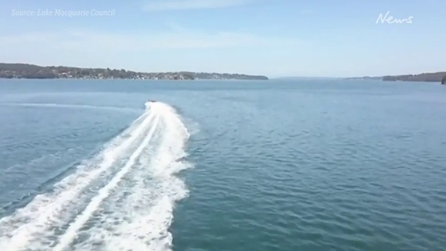 Superboat action in Lake Macquarie