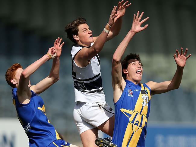 Patrick Lipinski in action for Northern Knights in the TAC Cup.