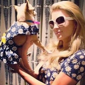 Still stuck in the 90's, Paris Hilton continues to torture her fur baby... 