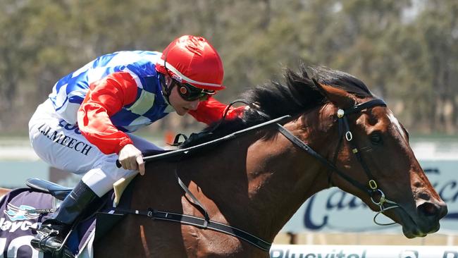 Meech rides Oasis Girl to victory on Wednesday. Pic: AAP