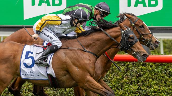 Danish Fortune edges out En Francais in the Happy Trails Final at Morphettville. Picture: Makoto Kaneko