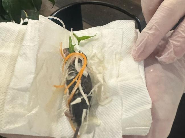 A dead rat allegedly found in a salad at a Sydney restaurant. Picture: Supplied