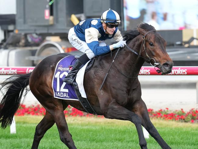 Nadal ridden by Ethan Brown wins the The Ladbrokes Meteorite at Cranbourne Racecourse on November 23, 2024 in Cranbourne, Australia. (Photo by Scott Barbour/Racing Photos via Getty Images)