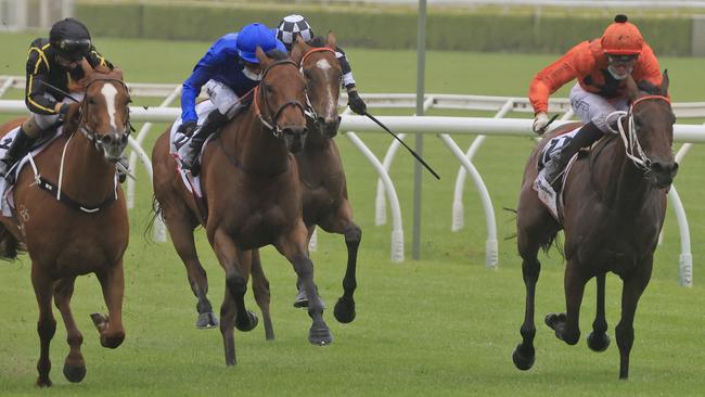 Never Talk (right) can give Kris Lees another runner in the Provincial-Midway Championships Final by qualifying at Newcastle on Thursday. Picture: Getty Images