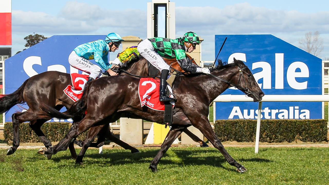 Barbie's Fox is coming to Sydney to chase a stakes breakthrough. Picture: Leonie Grbic-Racing Photos via Getty Images