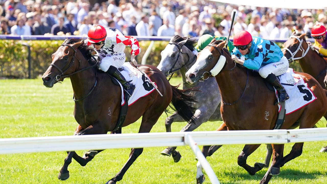MSS Security Sires' Produce Stakes