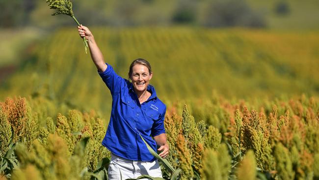 Kate Gunn of Merrivale Partnership at Gunnedah NSW.