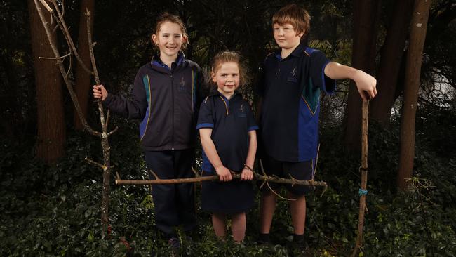 BUSH SUMMIT. Amy Downie grade 2, Darcy Schubert prep, Ryan Hazelwood grade 3. St Brigid's Catholic School at New Norfolk where students are encouraged to play in the bush environment within the school. Picture: Nikki Davis-Jones