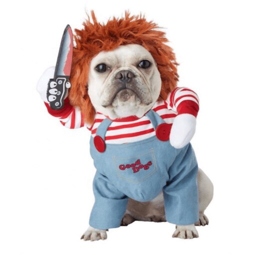 Deadly Doll Pet Chucky costume.