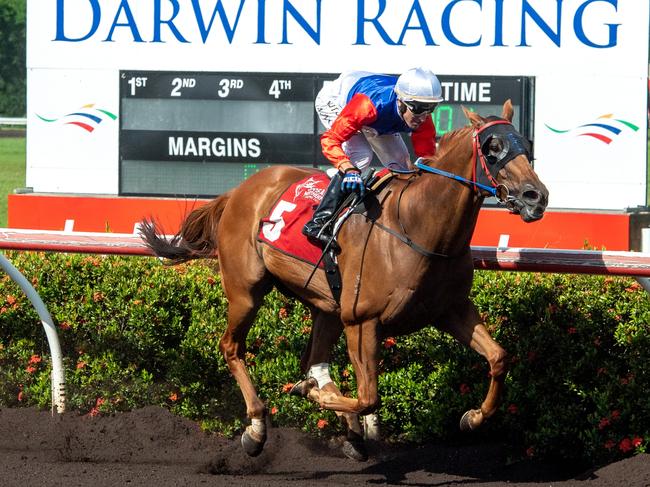 Gary Clarke’s The Captain was super impressive yet again on Saturday, saluting in the $34,000 Silks Darwin Weight-For-Age (1200m) at Fannie Bay. Picture: Caroline Camilleri