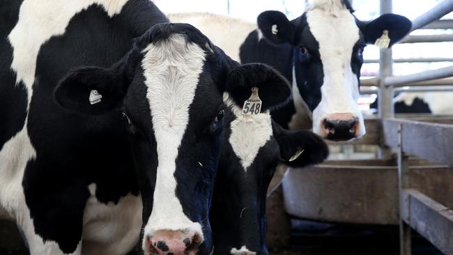 Overhaul: Australian Dairy Plan chairman John Brumby said workshops showed industry bodies need to “do things differently”.