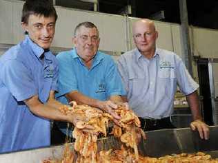 Preparing local school prawns for sale at the Ballina Fishermen’s Co-op are (from left) co-op workers David Reardon and Frank Reardon with co-op manager George Robinson. . Picture: Doug Eaton