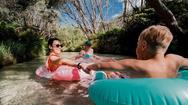 Eli Creek on K’Gari (Fraser Island) is popular with families. Image: Tourism and Events Queensland