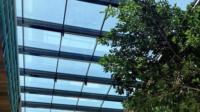 Natural light and sub-tropical landscaping is a feature of the Stockland Shopping Centre, due to open on December 7. Picture: Erle Levey