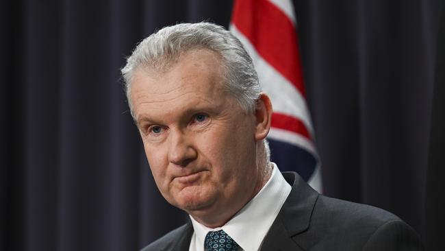 Immigration Minister Tony Burke. Picture: NewsWire / Martin Ollman