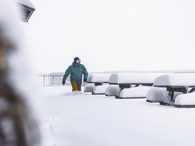 First day of winter at Hotham Alpine Resort. Picture: Dylan Robinson