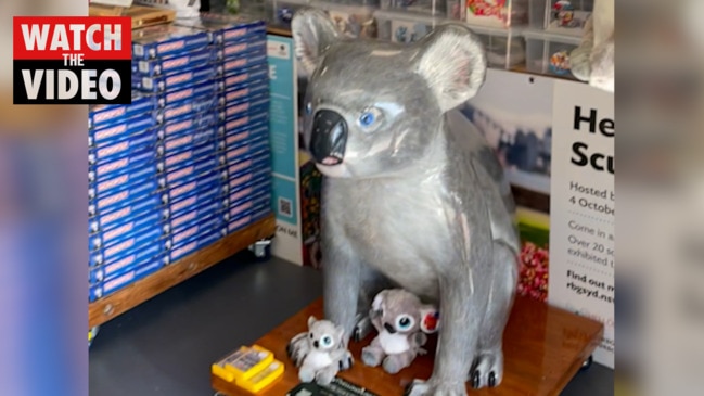 Margret Meagher’s Hello Koalas gift shop in Port Macquarie