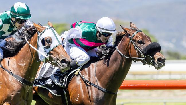 Kristobel won at Morphettville Parks to give Sarah Rutten her first city success. Picture: Makoto Kaneko