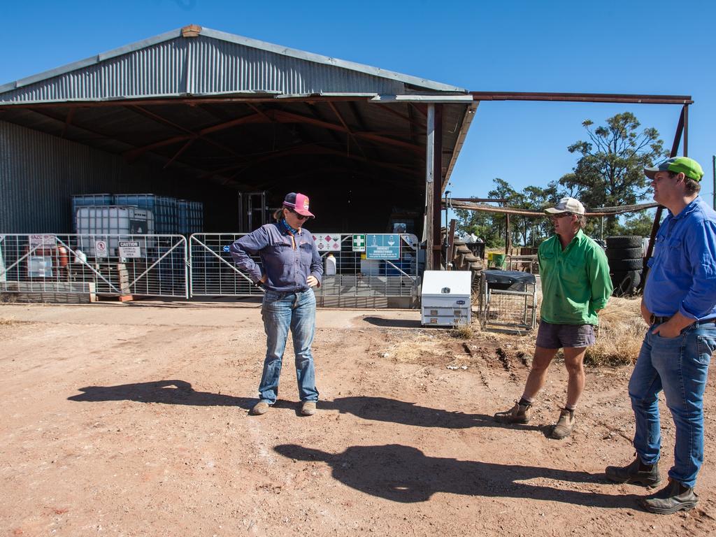 Since 2014, growers Nigel and Vanessa Corish have had a focus on improving soil sustainable. Grain Grower Nigel Corish with Farm Manager Jason Sinclair and farm assistant Sussie Caldwell. Photo: David Martinell.