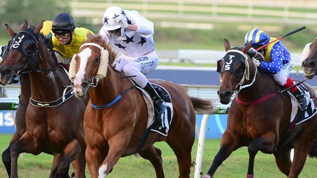 Doomben winner Don't Tell Mama is great value at $11 in UBET markets, according to Bulletin tipster Chris Nelson. Picture: Grant Peters, Trackside Photography