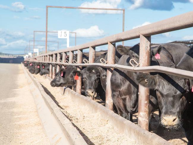 Feedlot business takes Toowoomba Regional Council to court over road upgrade condition