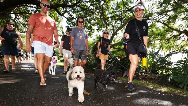 Eddie Palmer and Ali Palmer walk their dogs Copper and Koki in the RSPCA's Million Paws Walk fundraiser, held along the Cairns Esplanade. Picture: Brendan Radke