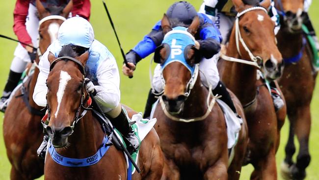 Invienna could be the big improver in race six, according to Davo. Picture: Jenny Evans