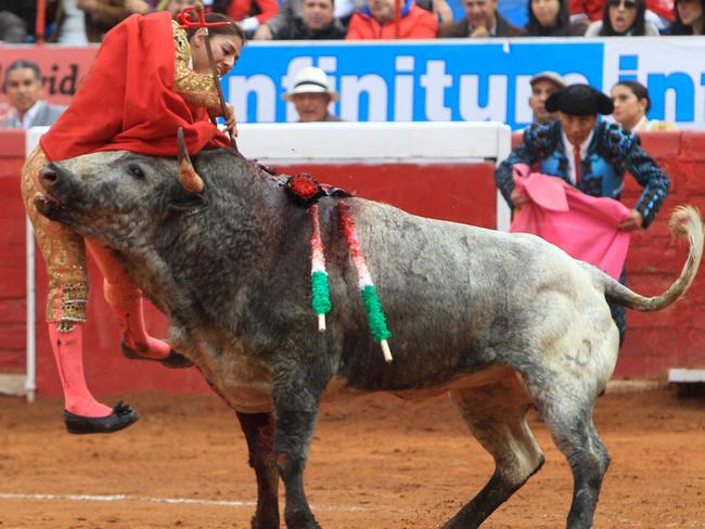 The 26-year-old says she is determined to return to the ring, two days after she and several others were gored by what she described as a "very smart" bull. (AP Photo/Gabino Acevedo, Cuartoscuro.com)