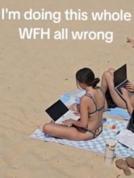 Aussies were divided over the WFH act. Picture: TikTok