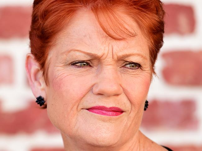 Pauline Hanson in Townsville to endorse her One Nation Candidate for Thuringowa, Troy Thompson. Picture: Alix Sweeney