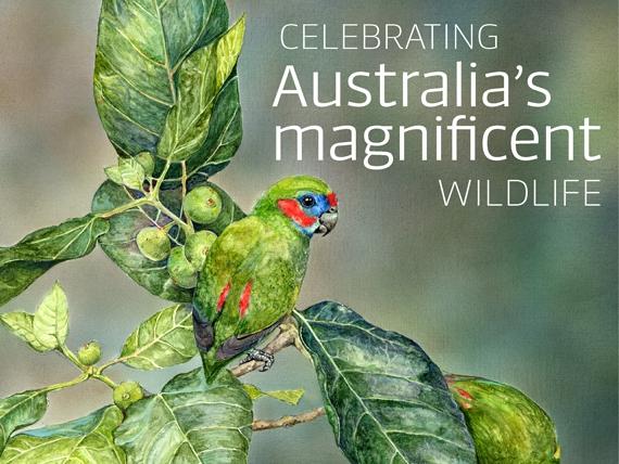 Celebrating Australia’s Magnificent Wildlife.