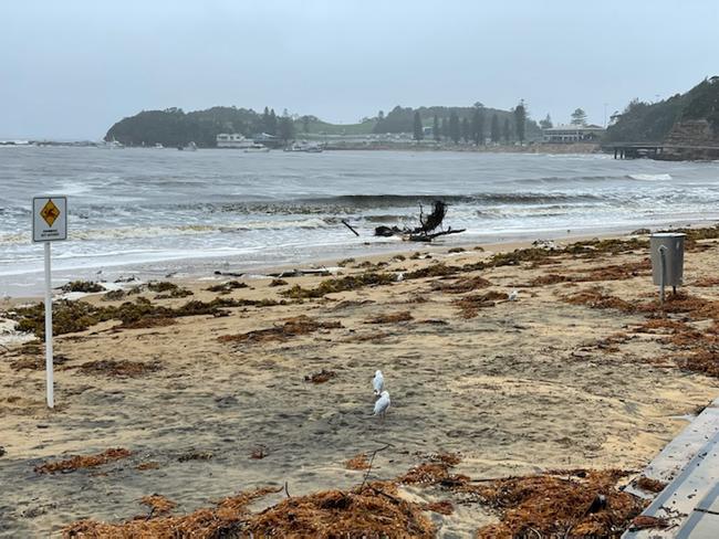 Terrigal Beach after wild weather in 2020.