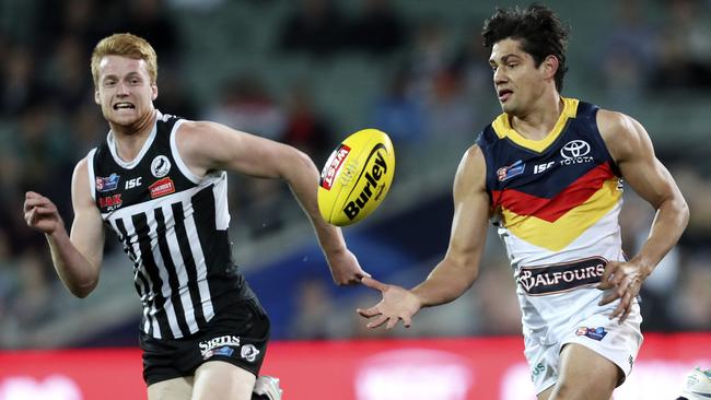 Adelaide’s Shane McAdam looks to gain possession against Port Adelaide’s Willem Drew during the 2019 SANFL qualifying final. Picture: Sarah Reed