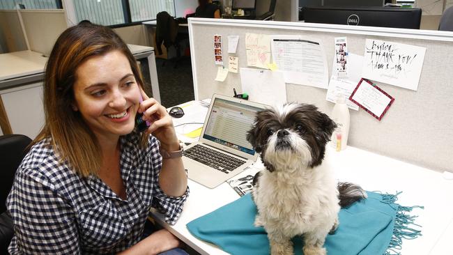 Jessica Ben-Ari with her dog Hallie, at her workplace, online fashion retailer The Iconic. The Iconic's headquarters are a dog friendly workplace which is a great morale booster for staff. Picture: John Appleyard