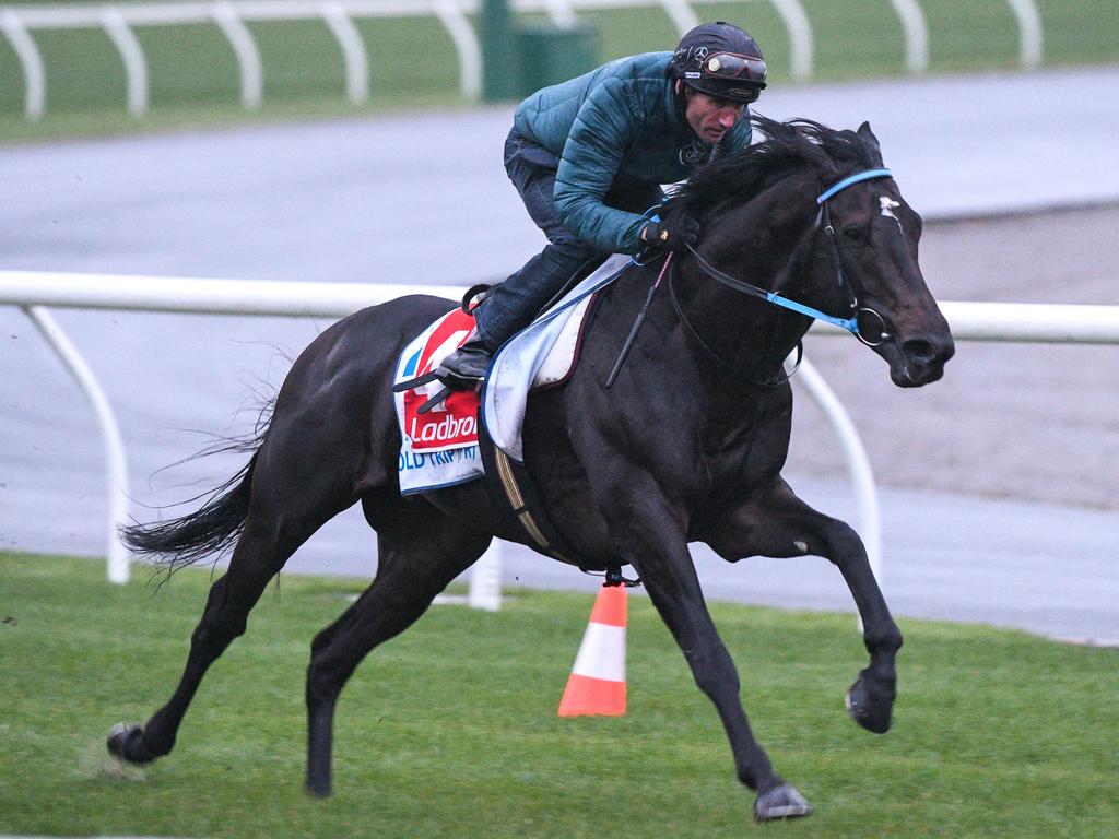 Moonee Valley Trackwork Session