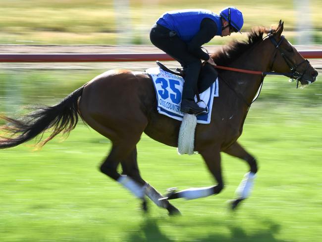 A jockey rides British horse Cross Counter during early morning trackwork at Werribee on November 4, 2019, ahead of the Melbourne Cup horse race on November 5. (Photo by William WEST / AFP) / -- IMAGE RESTRICTED TO EDITORIAL USE - STRICTLY NO COMMERCIAL USE --