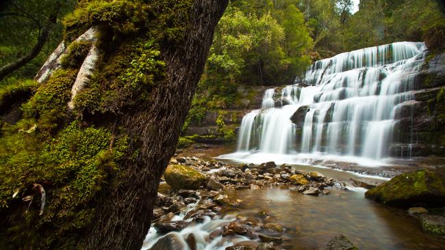 Liffey Falls on the slopes of the Great Western Tiers. Picture: SCOTT SPORLEDER/Tourism Tasmania