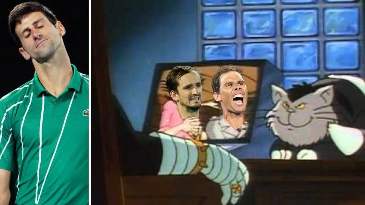 Djokovic watching Medvedev and Rafa with his cat, probably.