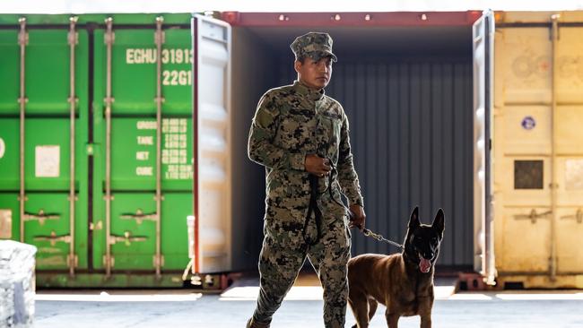 Sergeant Valentine Tina, 33, of Mexico's Navy (Semar) inspecting containers at the port of Lazaro Cardenas with his sniffer dog Glock, 7. Picture: Jason Edwards