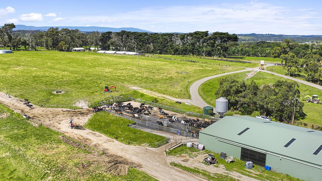 Chinese company sells Gippsland dairy farm at Athlone to locals