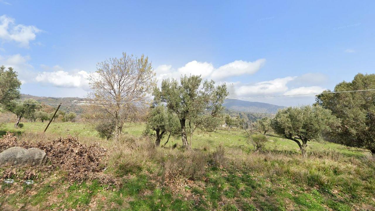 A wooded area near Satriano, Italy, where Simona Cavallaro, 20, died after being mauled by a pack of stray dogs while walking with her boyfriend, in August, 2021. (Google Maps/Newsflash) Picture: Newsflash/Australscope