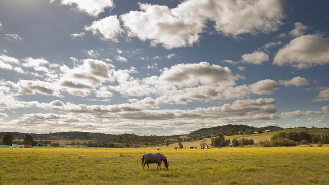 The rural landscape at Menangle Park. Picture: Melvyn Knipe