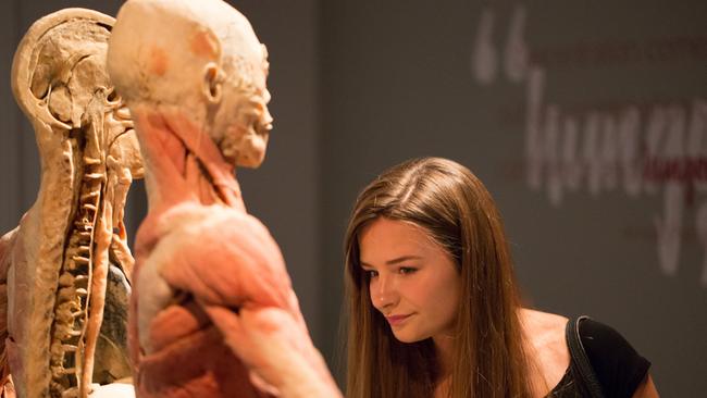 More than 200 anatomical specimens are on display.