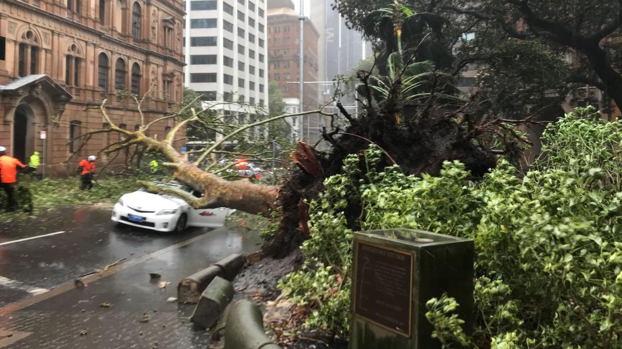 A tree fell on a taxi in Sydney and four people were taken to hospital. Picture: NSW Ambulance