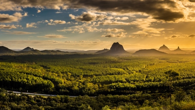 Best places for 'forest bathing' in Australia | escape.com.au