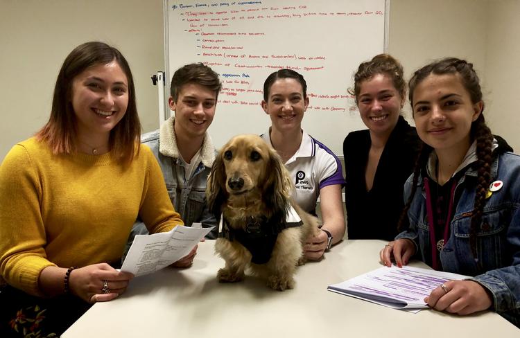 Paws For A Second Camden Youth Council Bring Mental Initiative To Narellan Library Daily