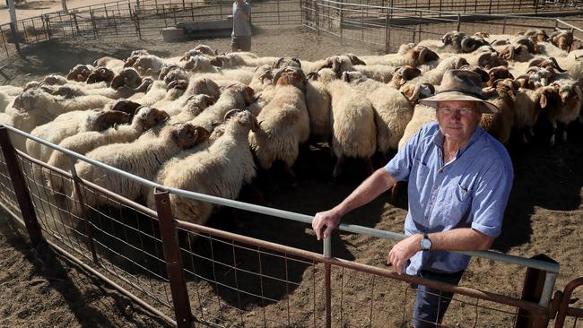 Tony York and son Oscar on their farm at Tammin, WA. PICTURE: COLIN MURTY